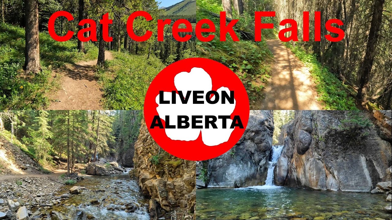 The PERFECT FAMILY ADVENTURE: Cat Creek Falls #canadianrockies