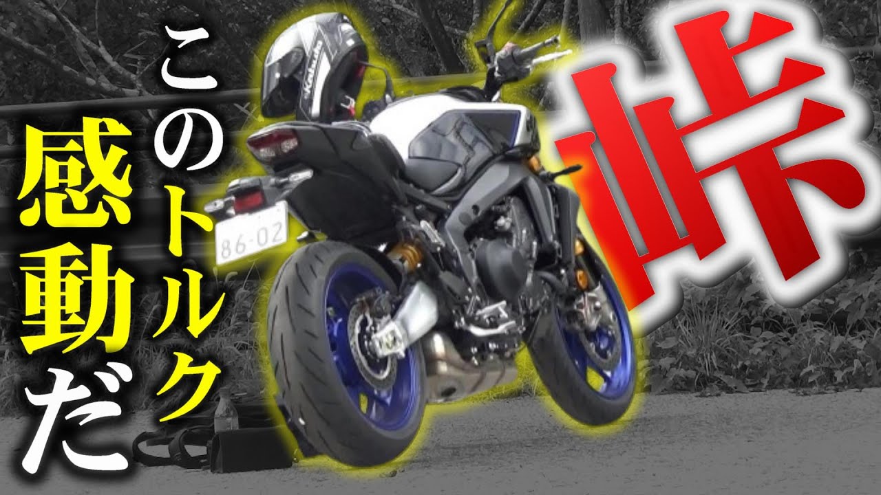 【いろは坂】当然だが、リッターSSとは明らかに違う!!!【2024 MT-09 SP】
