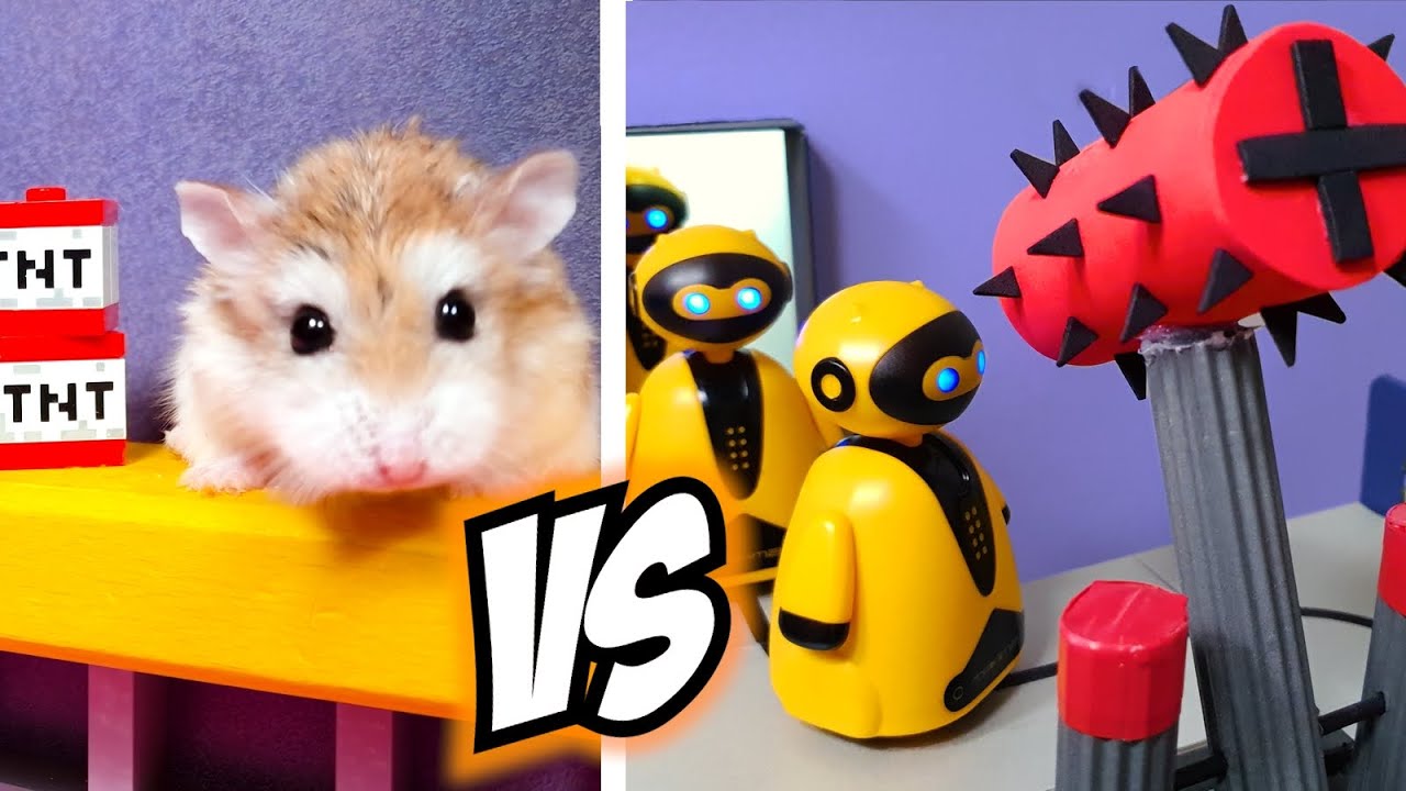 Top 5 Major Hamster Battle Stories