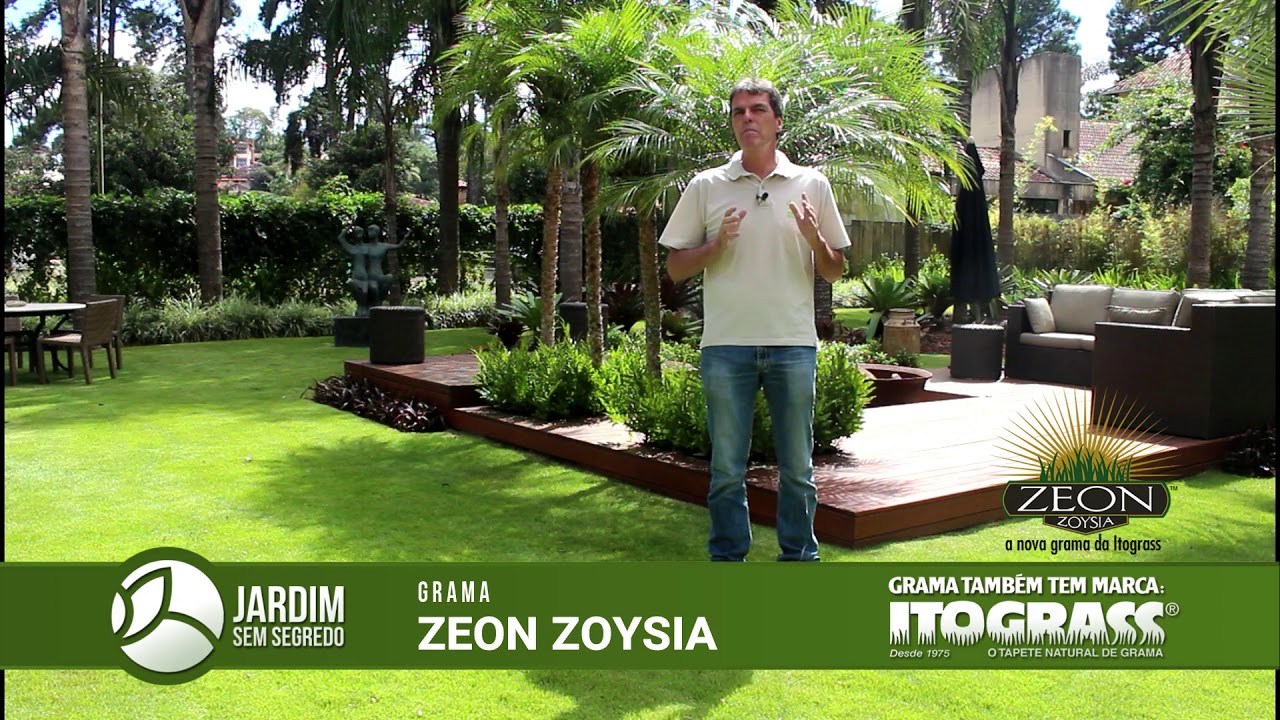 Grama Zeon Zoysia - Itograss