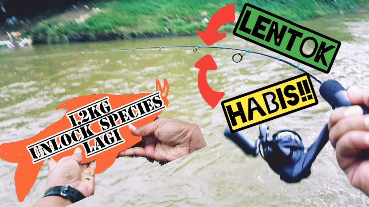 Hasil Size Idaman || Rod Zuna 2-6lb+Air Laju+Tebing Tinggi+1.2KG = MAMPUIH!! || 15 Minit Casting