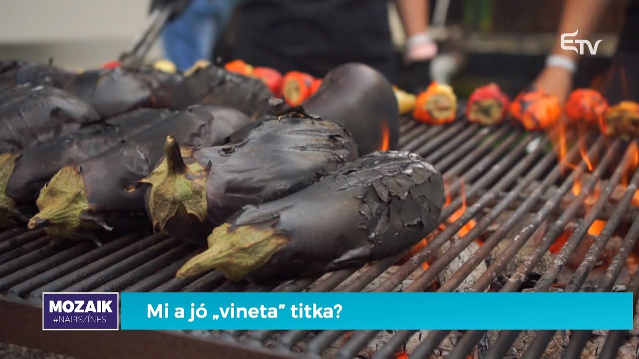 Mi a jó vineta titka? – eláruljuk a Mozaikban