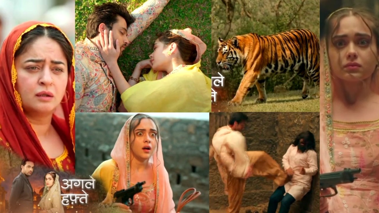Seher Hone Ko Hai Tomorrow New Promo | 28 February | Seher Or Mahid Fasne Wale Hai Jungle Mein
