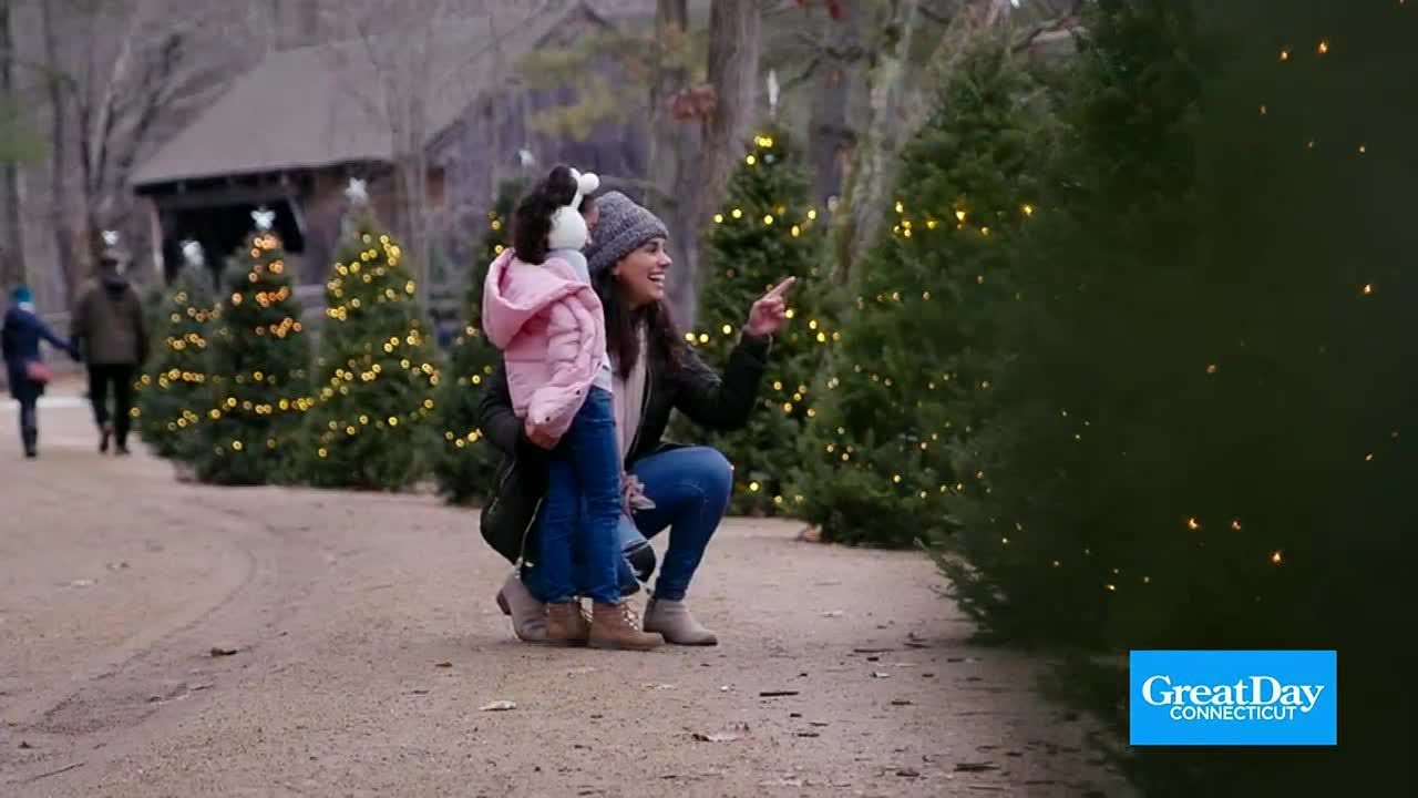 We visit Old Sturbridge Village to get into the holiday spirit