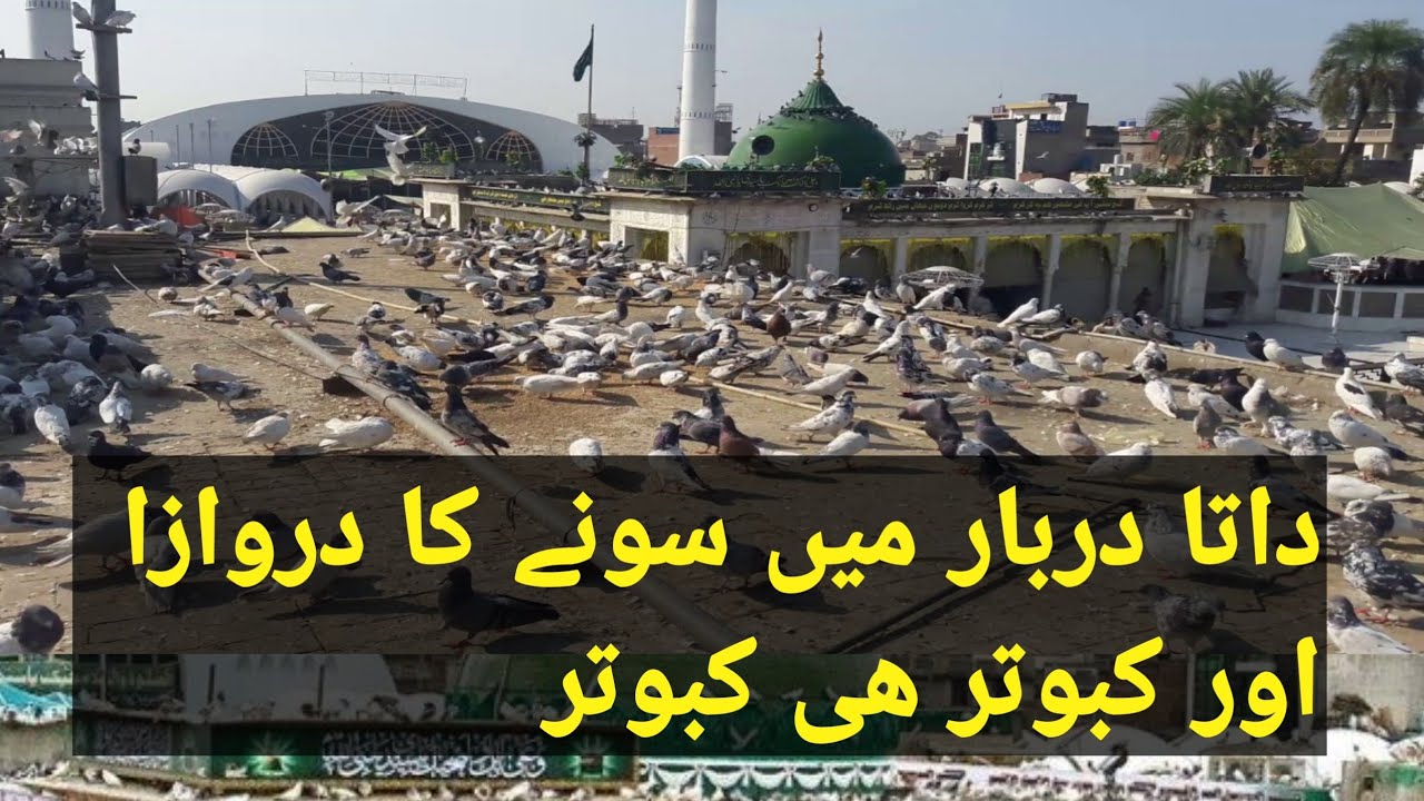 Data Darbar || k Andar sony ka darwaza || Or kabooter hi kabooter ||