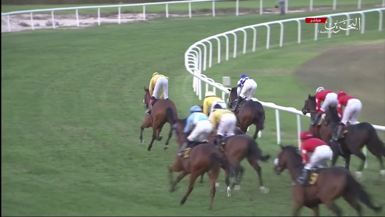 Racing BH 7th Race 13-Jan-2017