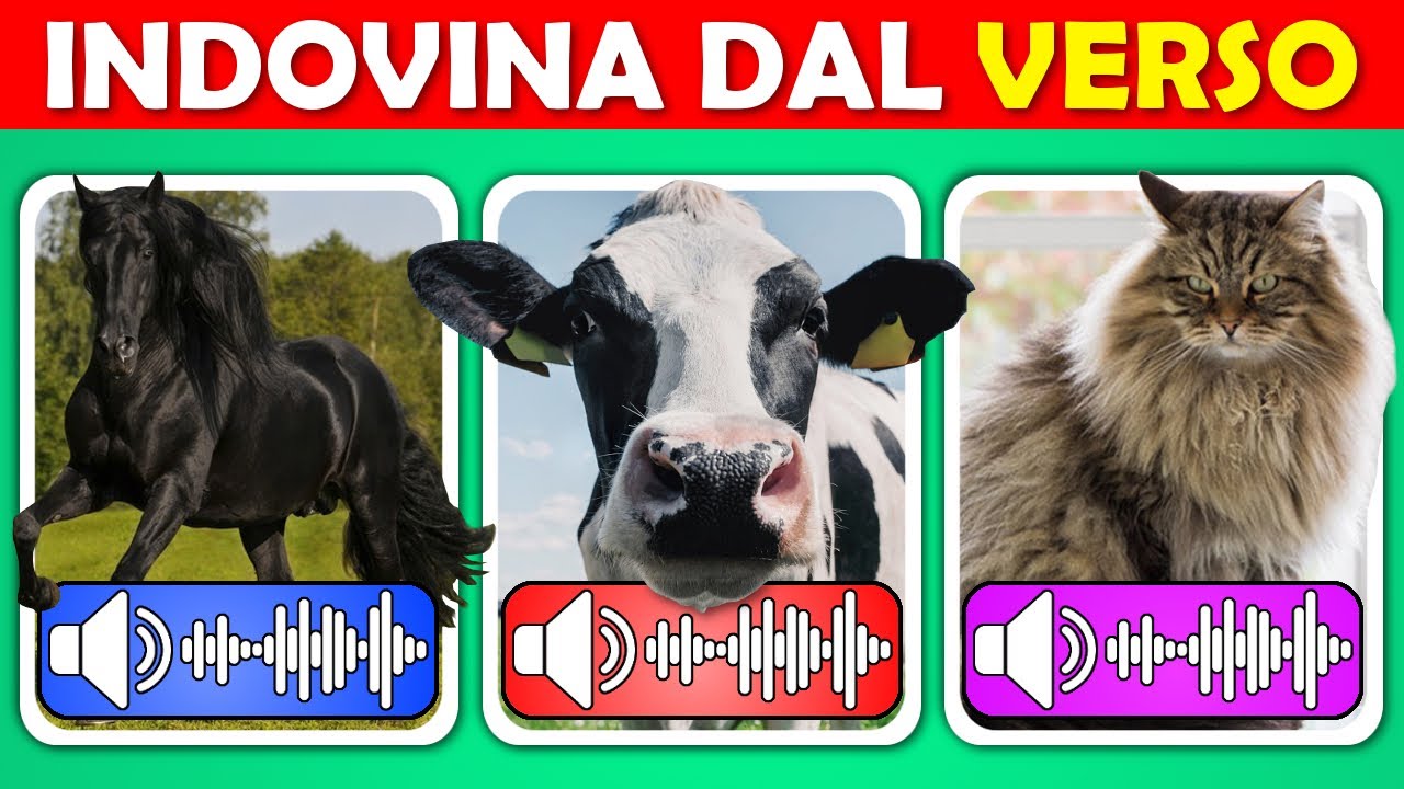 Indovina l'Animale dal suo Verso | Quiz Audio