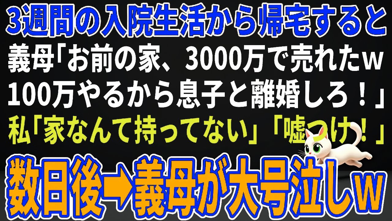 【スカッとする話】3週間の入院生活から帰宅すると義母「お前の家、3000万で売れたｗ100万やるから息子と離婚しろ！」私「家なんて持ってない」「嘘つけ！」→数日後、義母が大号泣しｗ【朗読】【修羅場】