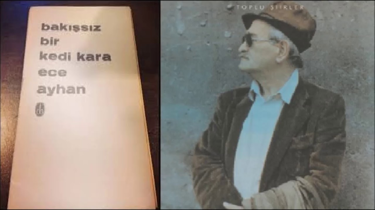 Ece Ayhan - Bakışsız Bir Kedi Kara