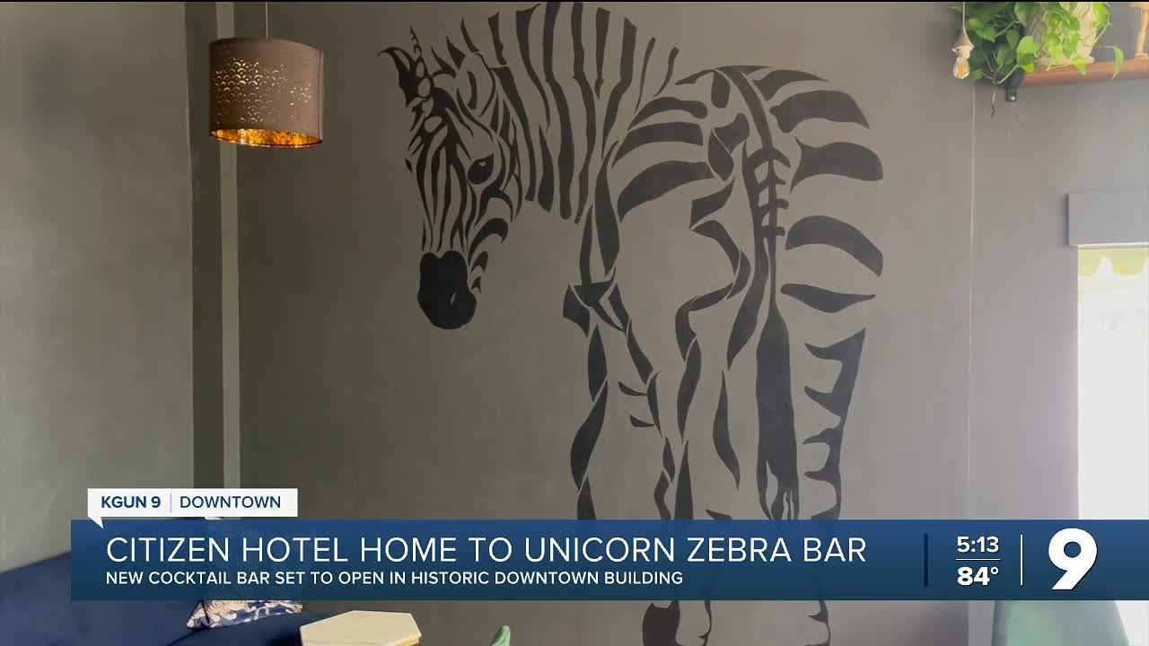 A new herd: Unicorn Zebra looks to dazzle