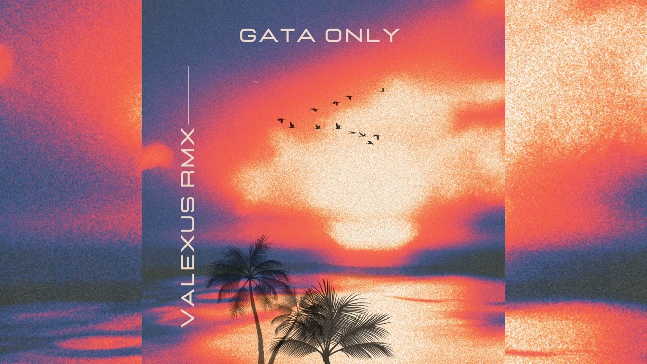 Gata Only (Valexus Remix)