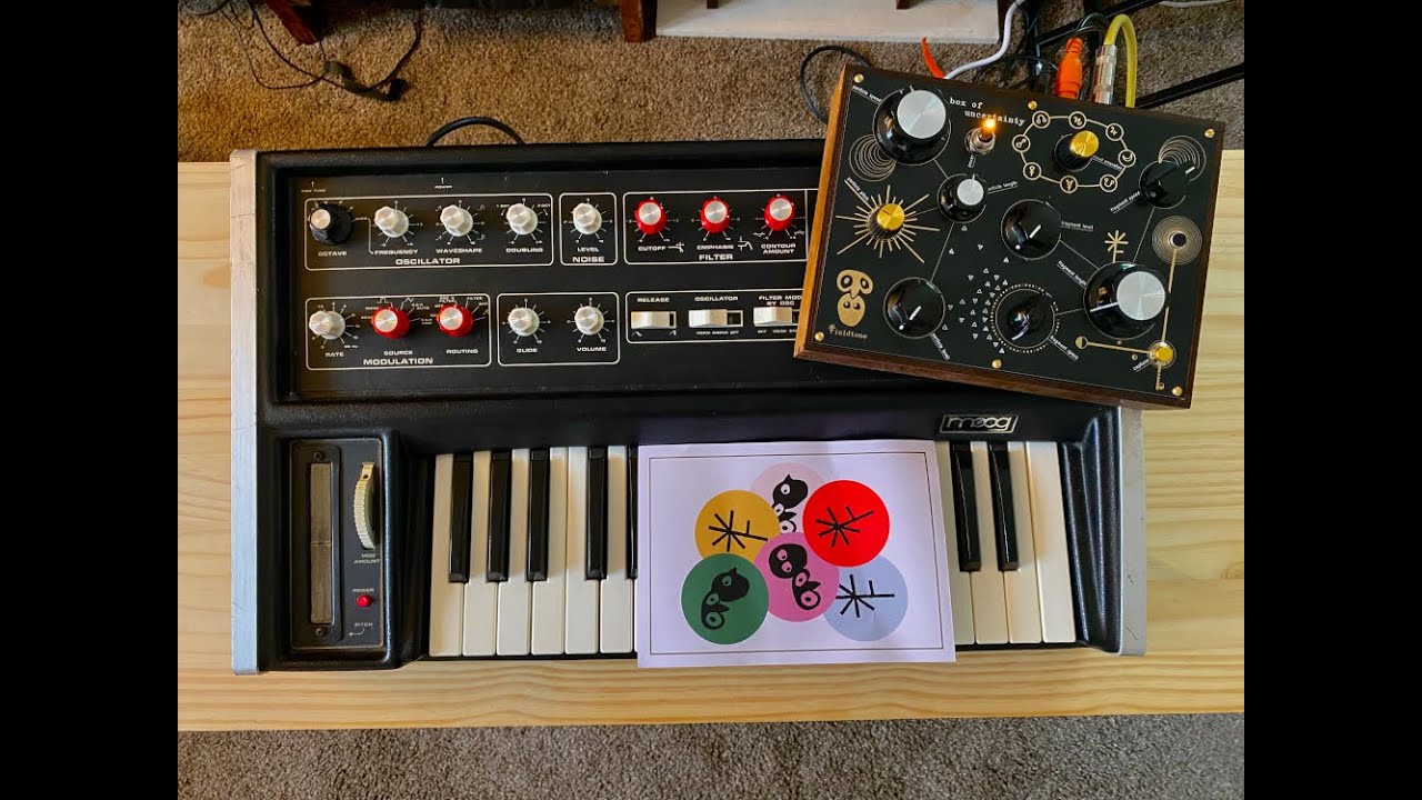 Fieldtone Box of Uncertainty demo with Micromoog