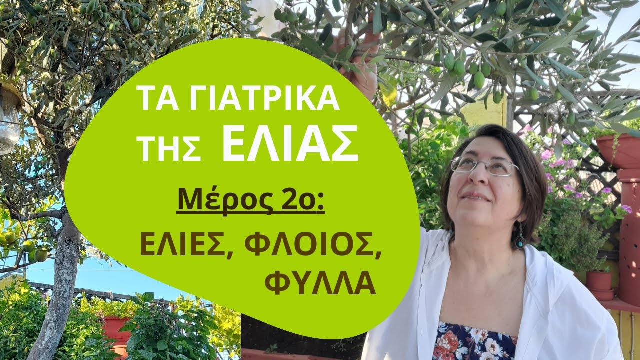 ΤΑ ΓΙΑΤΡΙΚΑ ΤΗΣ ΕΛΙΑΣ - ΕΛΙΕΣ, ΦΛΟΙΟΣ, ΦΥΛΛΑ