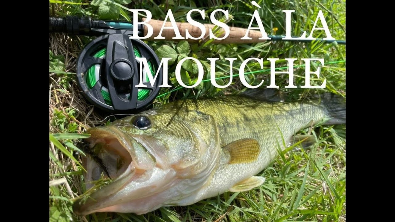 ON PECHE LE BLACK-BASS A LA MOUCHE !!