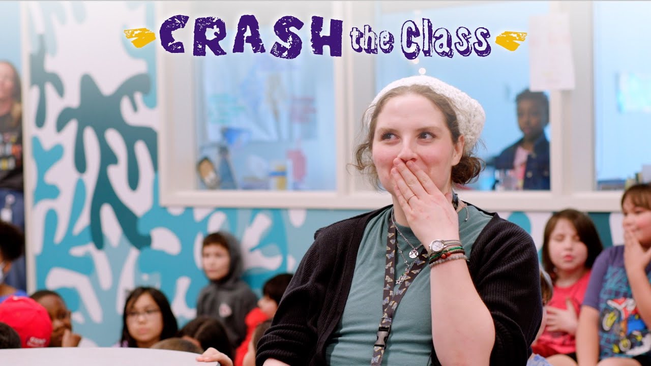 Crash the Class with Madeline Koehn