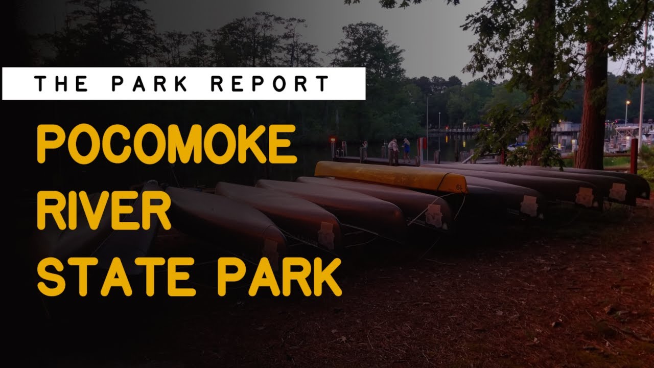 Pocomoke River State Park Review | The Park Report