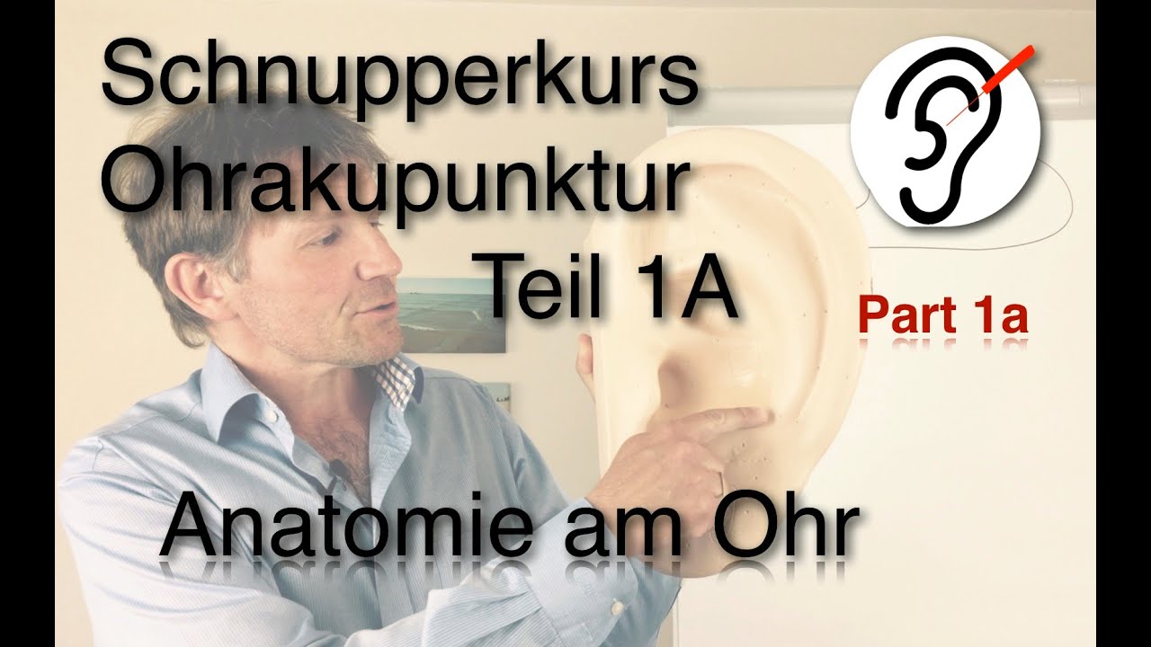 Workshop Ohrakupunktur Teil 1A (Anatomie & Orientierung am Ohr)