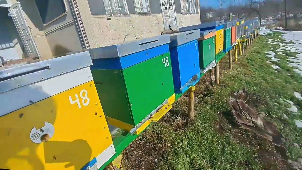 46. Un zbor pe jumatate 14.02.06.