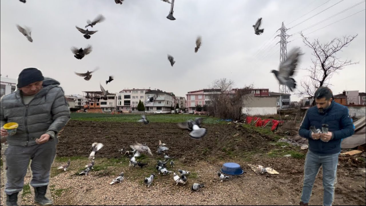 YERDEN KALKAN ŞHOW YAPMAYA BAŞLADI