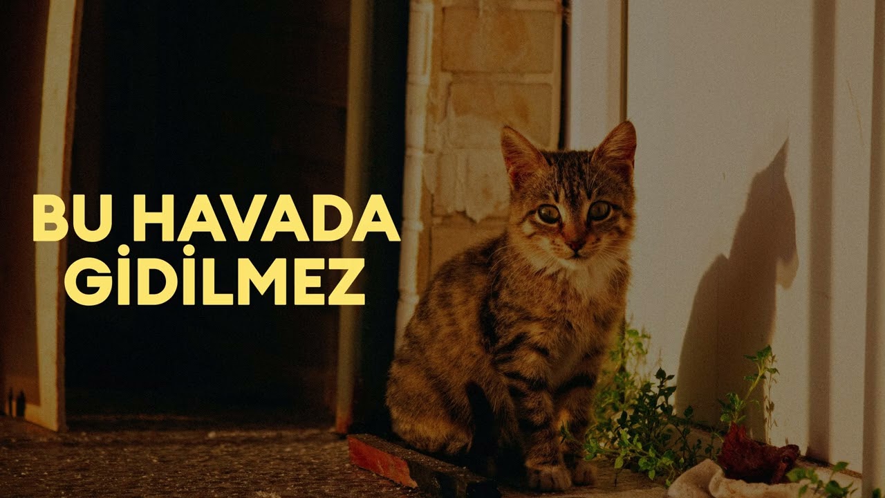 Nazan Öncel - Bu Havada Gidilmez - Progressive Electronic Version - Kedi FM