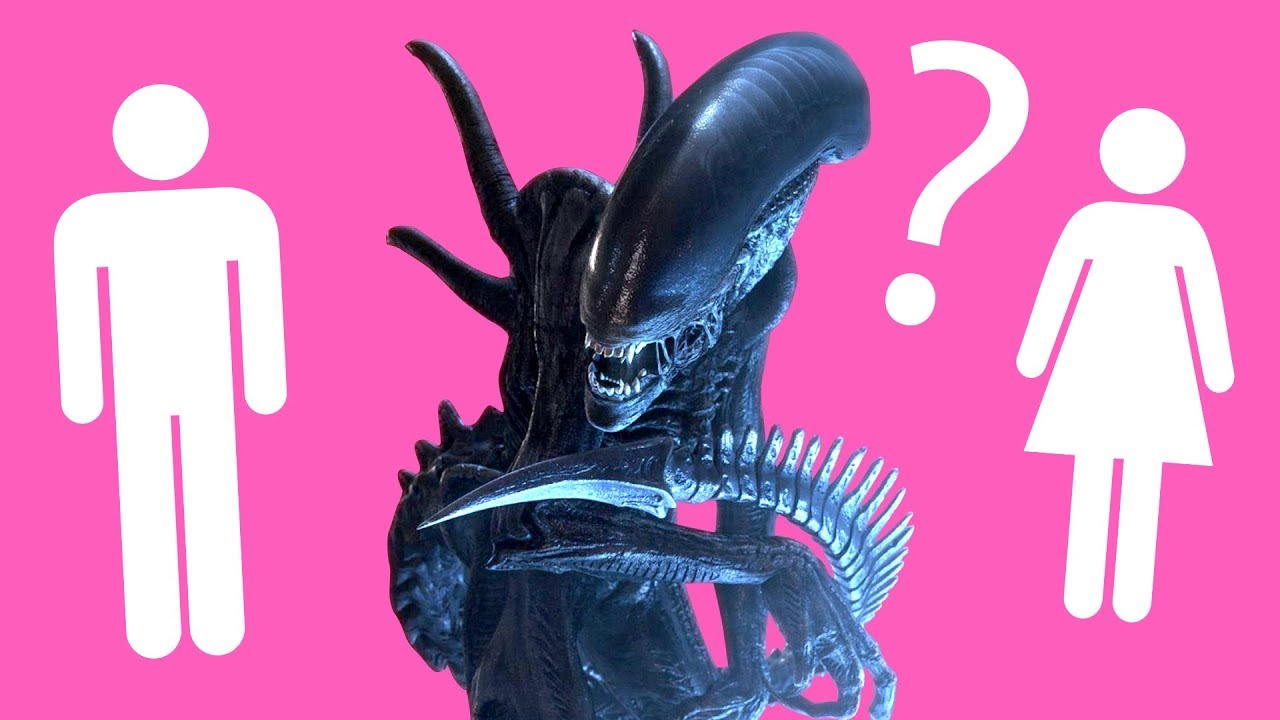 What GENDER is the XENOMORPH?