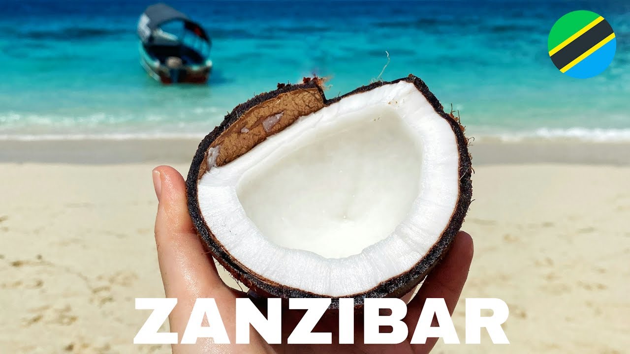 The Beast of Zanzibar 🇹🇿