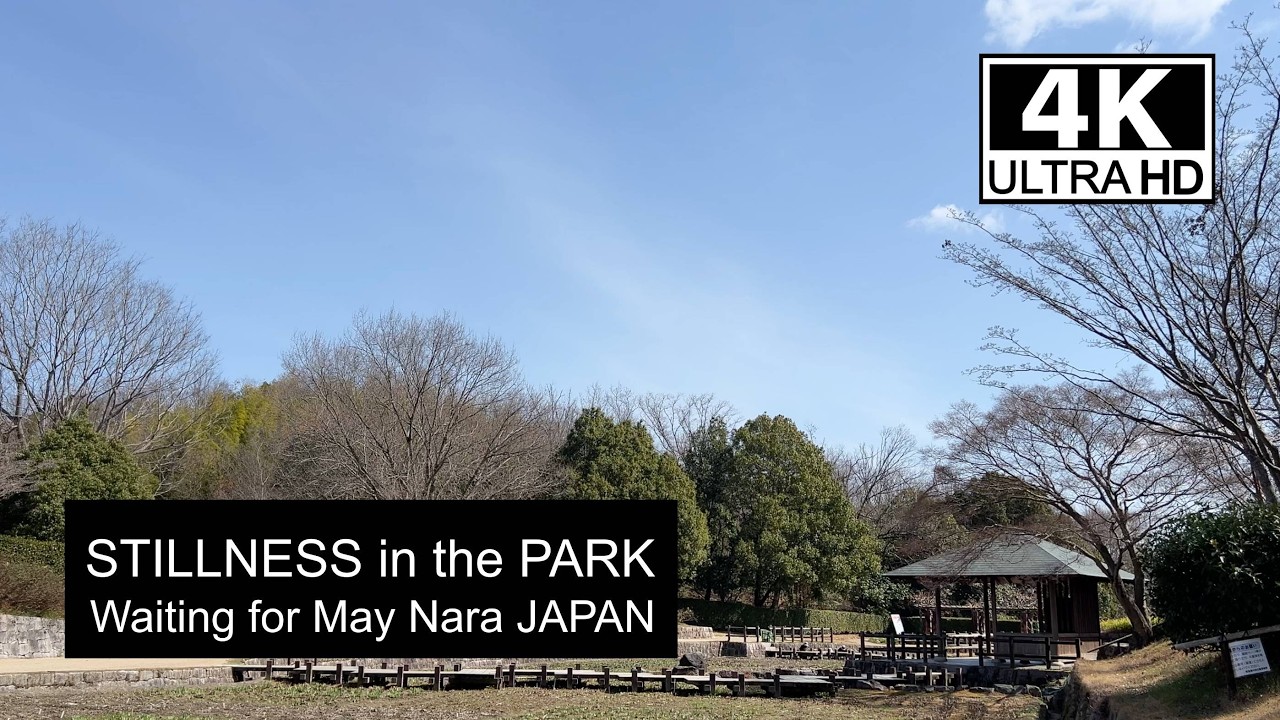 【4K】Waiting for the Iris Bloom Umami Hillside Park 5月を待つ菖蒲園。春の足音と人々の気配 馬見丘陵公園菖蒲池