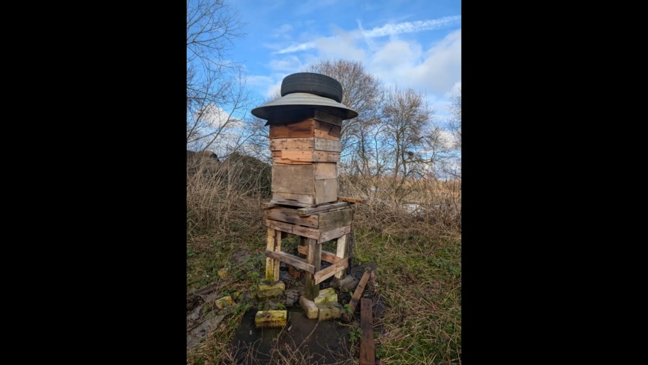 hodge podge shanty bee hives