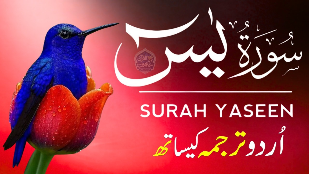Surah Yaseen with Urdu Translation | Emotional Recitation by Qari Mansoor Ghaznavi | Ep041