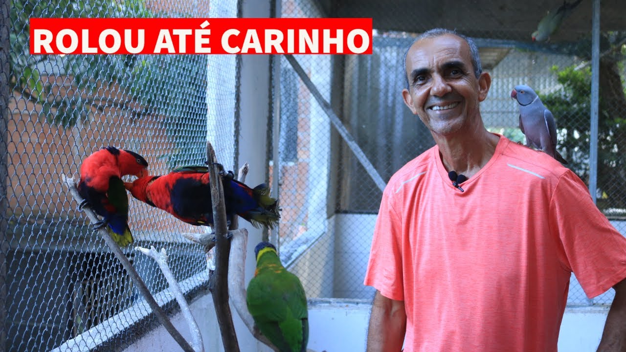 O CASAL DE LÓRIS BAILARINO ESTÃO JUNTOS NOVAMENTE