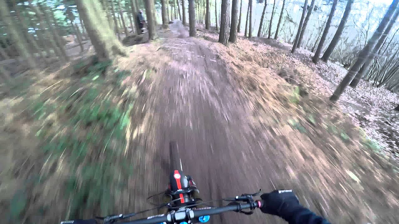 Shredit - Downhill Mountain Biking - Perry Woods