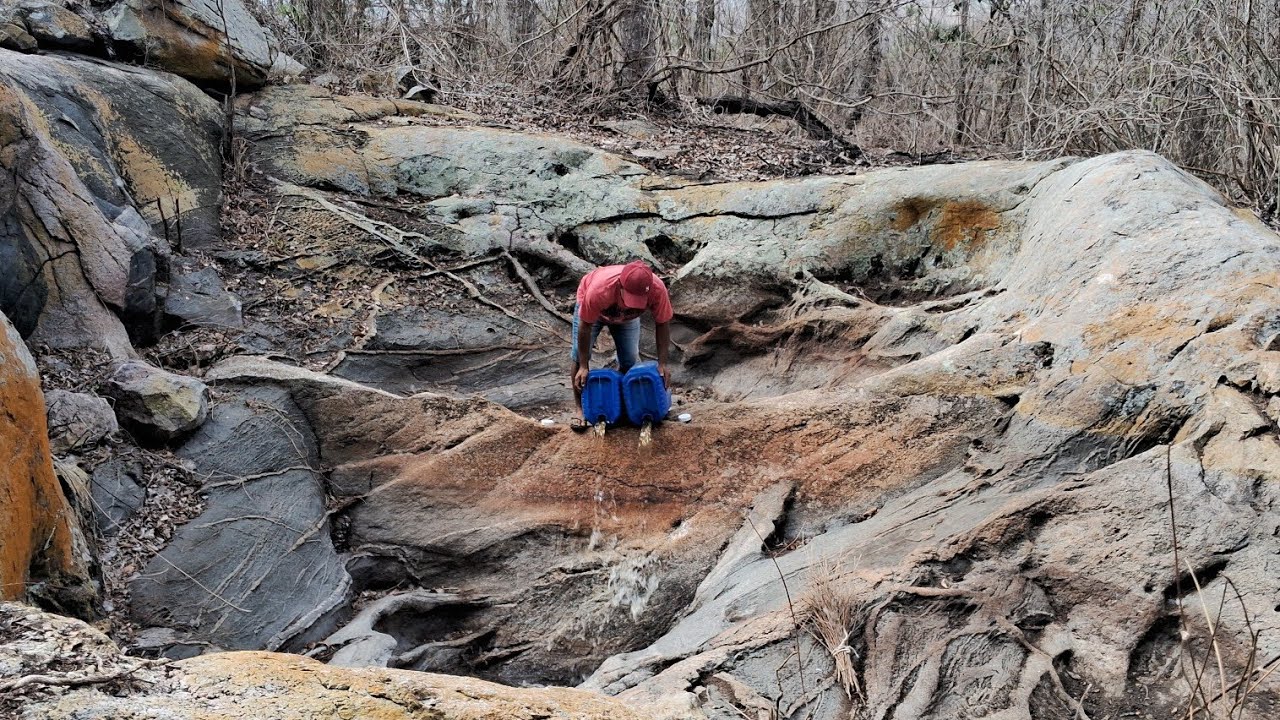 OS ANIMAIS DA CAATINGA PRECISAM DE ÁGUA LEVAMOS MAIS 40 LITROS