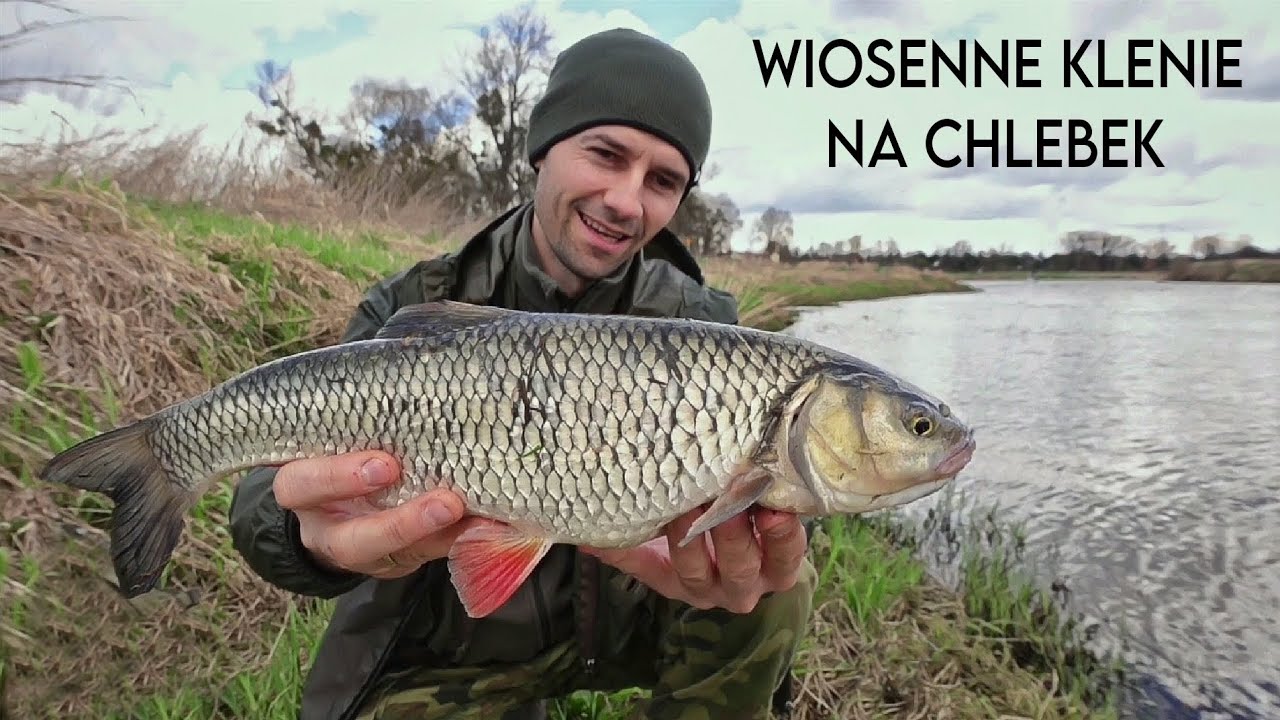 Wiosenne klenie na chlebek.
