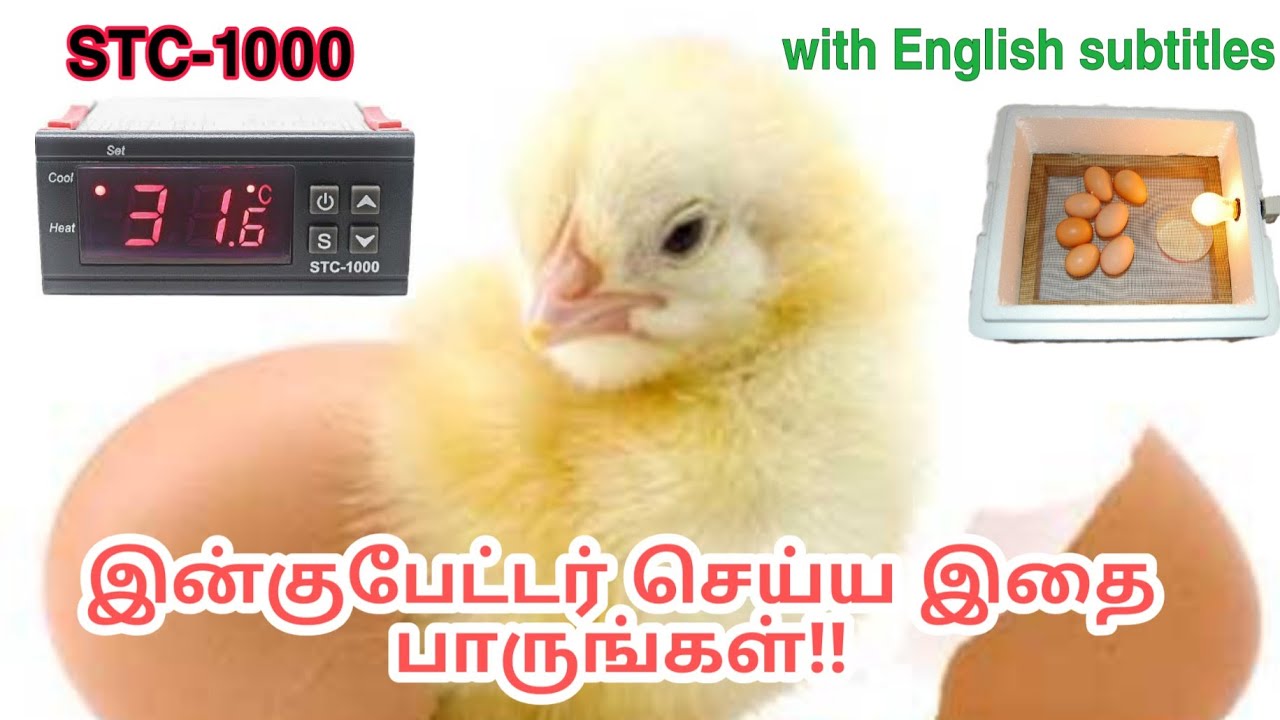 Egg Incubator (with Subtitles) - Tamil முட்டை கொள்முதல் செய்ய தவறாமல் இதை பார்க்கவும்!! | STC-1000 |