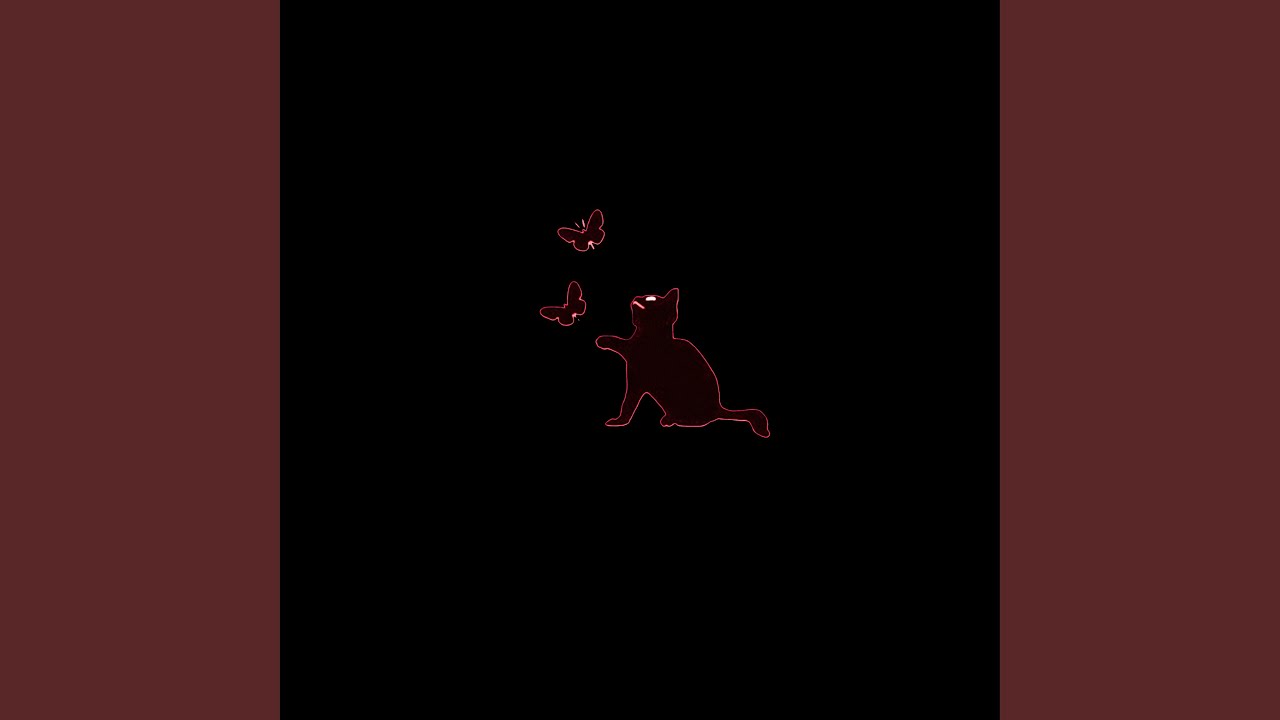 Stray