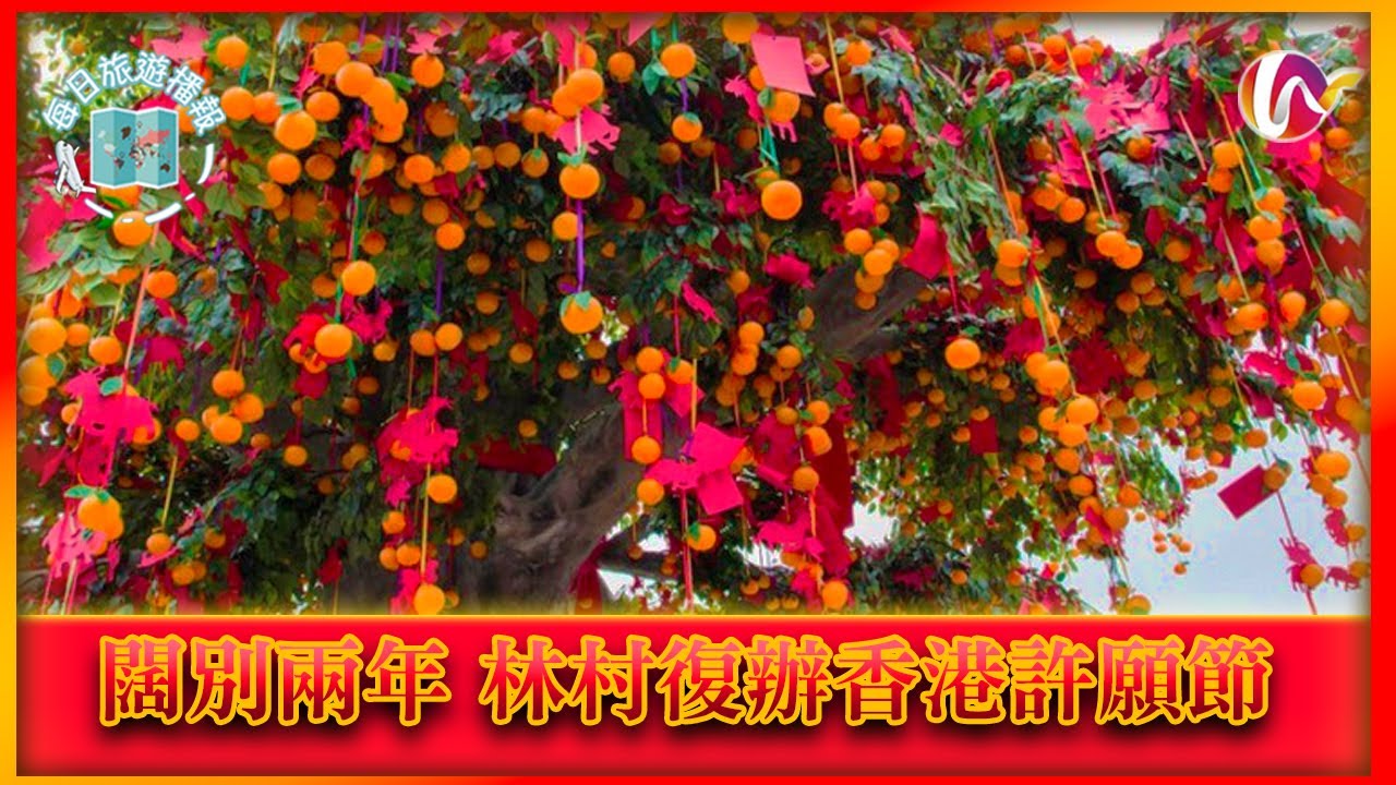 事隔兩年 香港許願節回歸林村 | 活動介紹 + 交通指南 【每日旅遊播報】