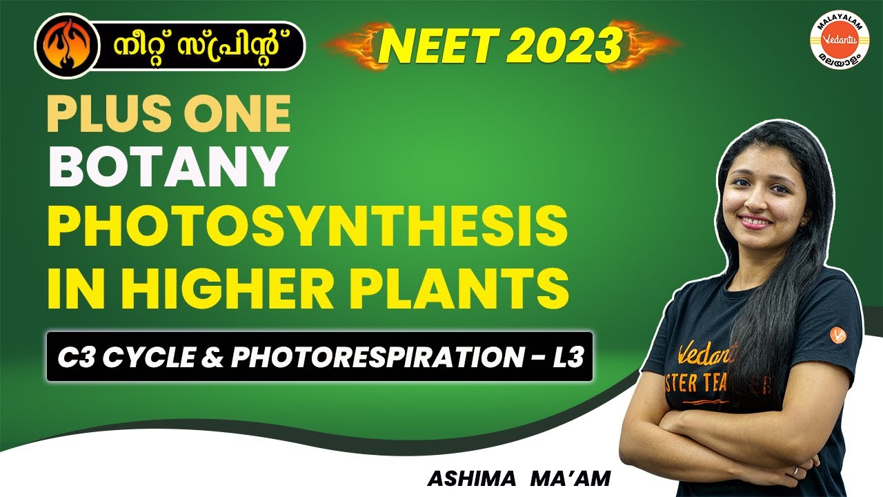 Plus One Botany in Malayalam - Photosynthesis in Higher Plants | Class 11 Biology | NEET | Malayalam
