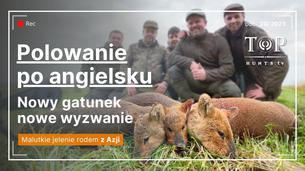 Polowanie na jelenie | tylko takie malutkie