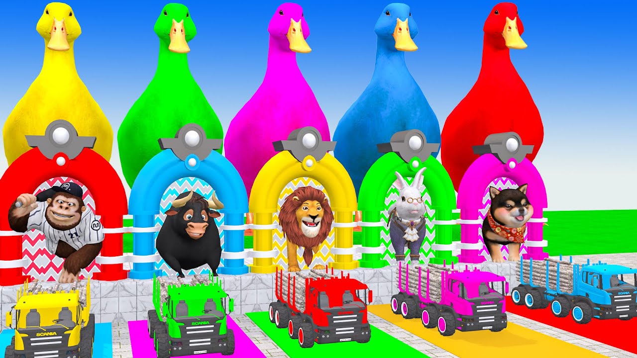 Long Slide Game With Cow Elephant Gorilla Hippopotamus Tiger - 3d Animal Game - Funny 3d Animals
