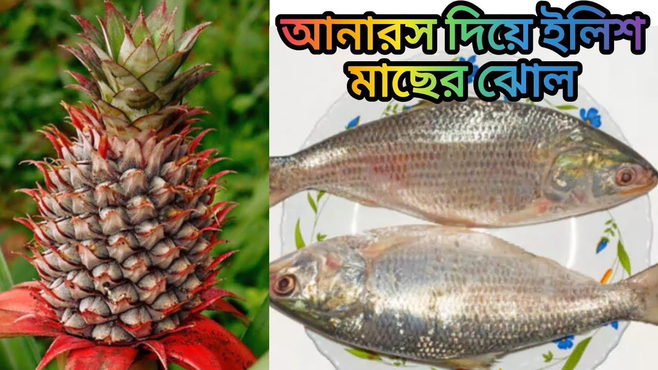 আনারস দিয়ে ইলিশ মাছের ঝোল//Pineapple Hilsa Curry Recipe//ভিন্ন স্বাদের ইলিশ রান্না Rahimas Kitchen 