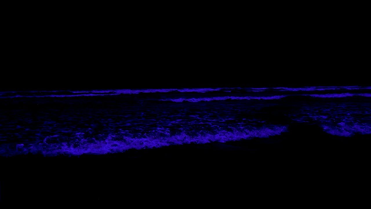 Fall Into Deep Sleep • Best Stress Relief In Minutes With Soothing Ocean Sounds All Night Long