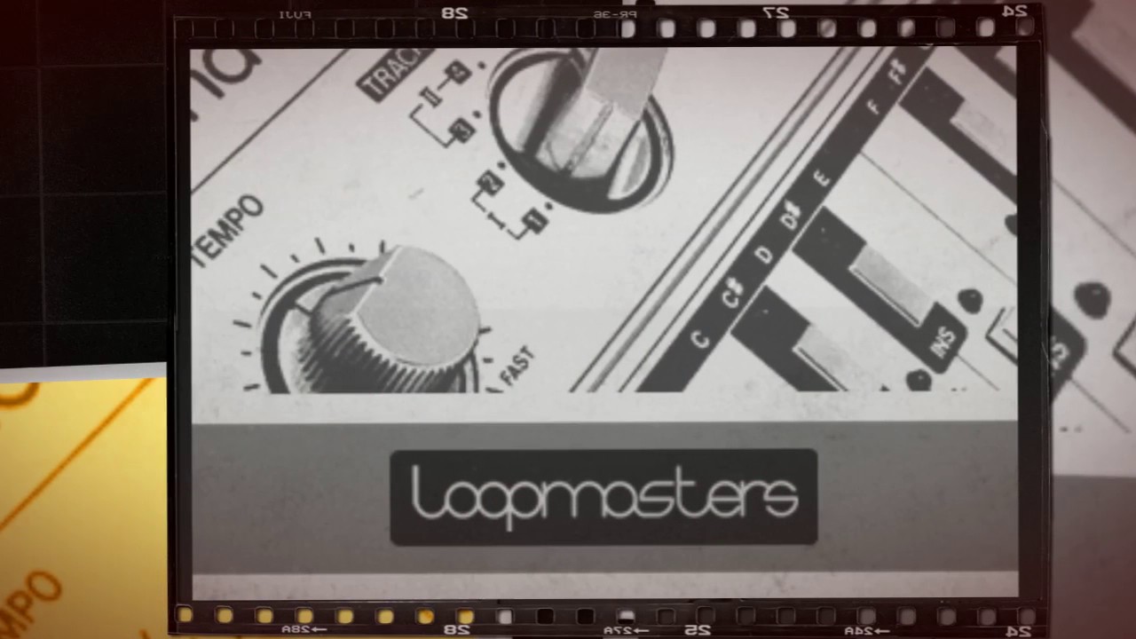 Three Zero Three - Techno TB303 Samples & Loops - Loopmasters