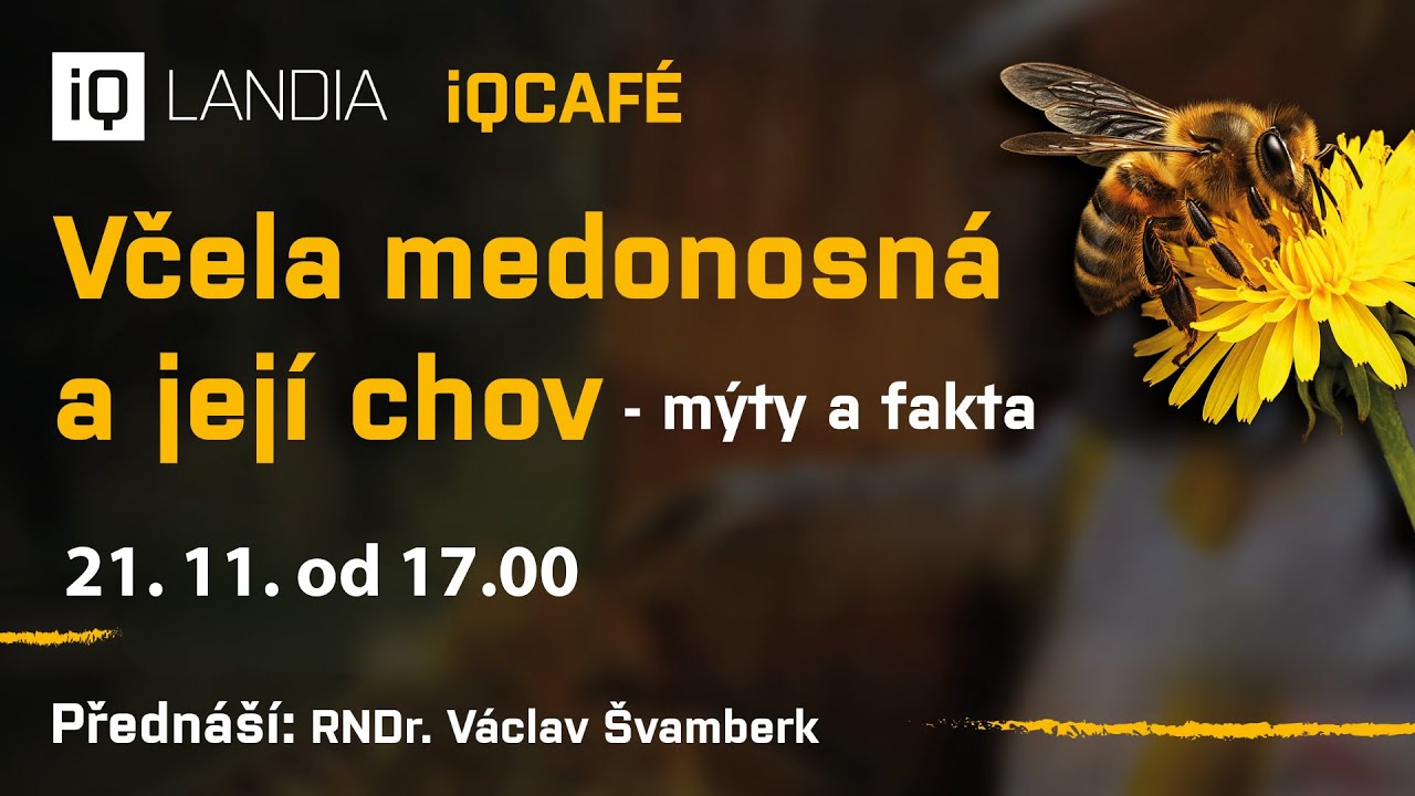 iQCAFÉ – RNDr. Václav Švamberk - Včela medonosná