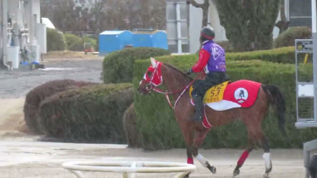Ravel Walks Through the Rain