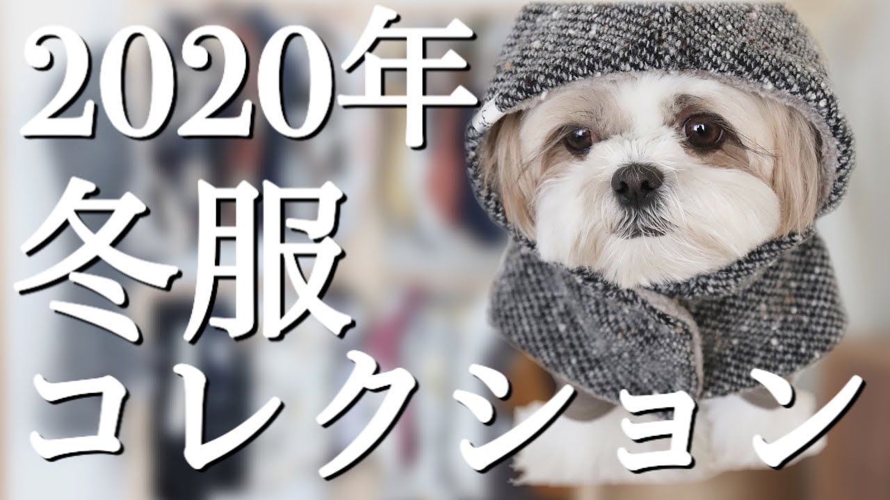 【犬服】シーズーのかわいい冬服コレクション♪おすすめコーディネートもご紹介☆ / Shih Tzu's cute clothes review. Funny animal movie.