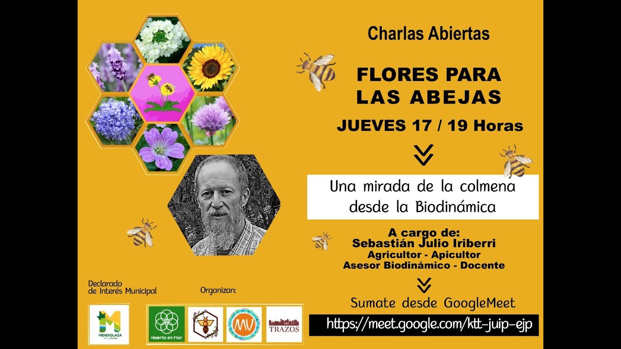 Julio Iriberri: La mirada Biodinámica de la colmena