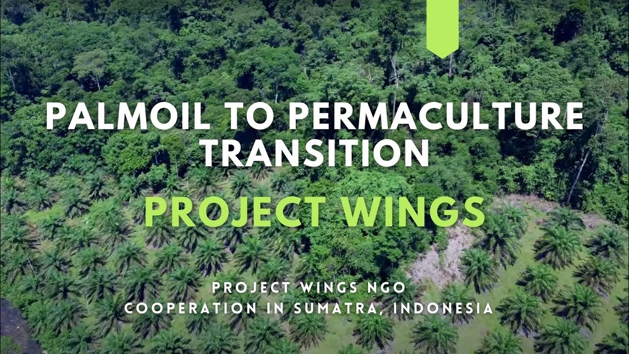 ProjectWings_Palmoil to Permaculture Transition