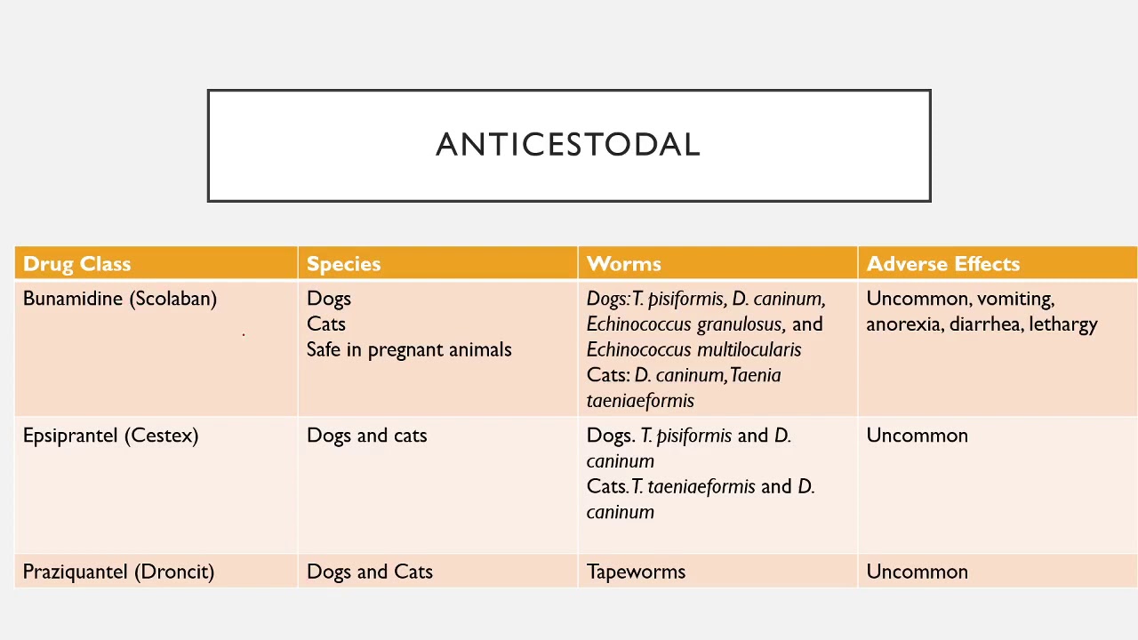 Applied Pharmacology Chapter 13   Antiparasitics