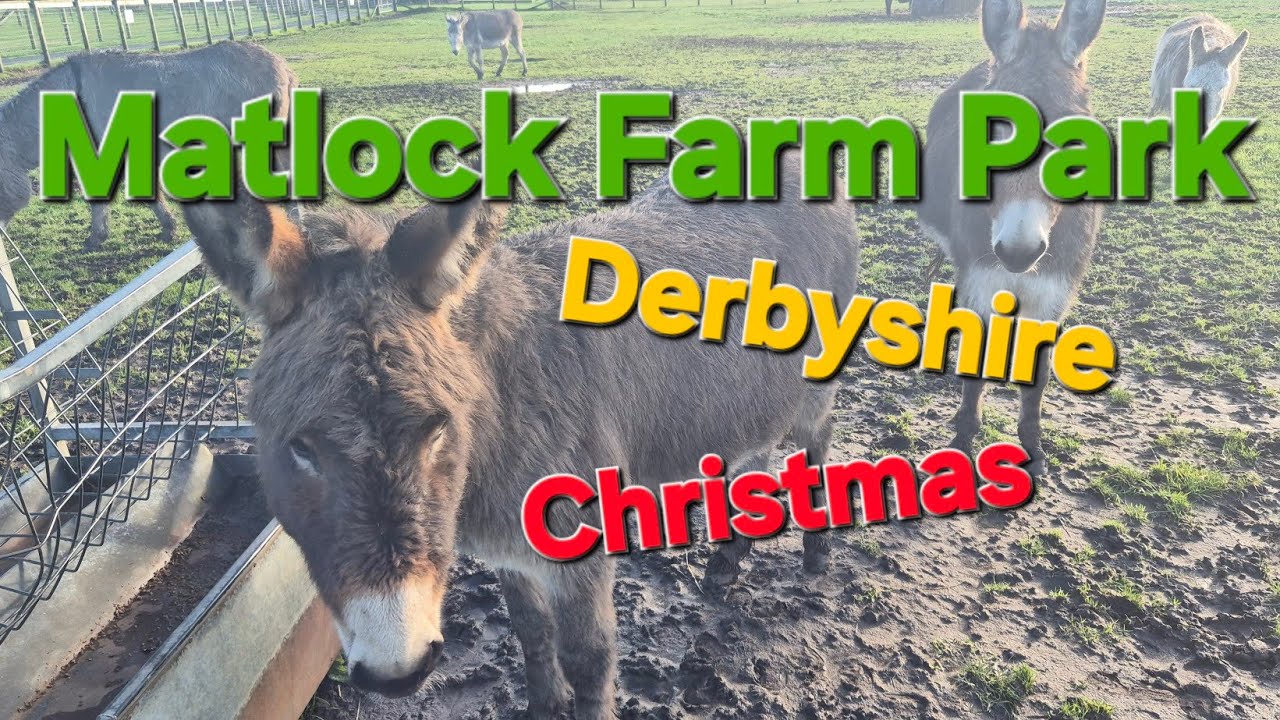 Matlock Farm Park Derbyshire