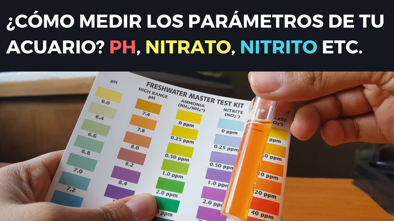 ¿CÓMO MEDIR PH, NITRITO, NITRATO Y AMONIACO EN TU ACUARIO? API MASTER KIT